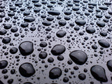 The Treatment professional yellow Carnauba wax