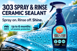 303 Spray & Rinse Ceramic